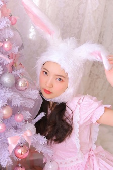 女士胸罩无遮挡透明图片